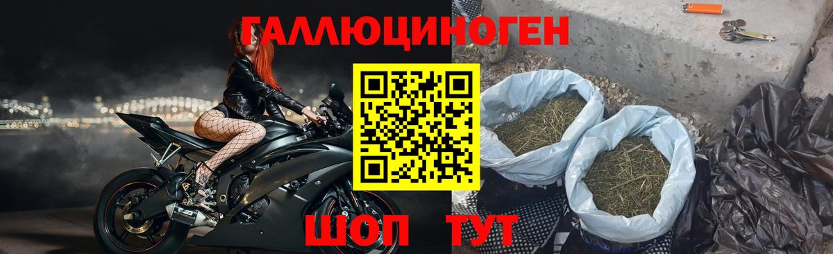 Муравленко  Псилоцибиновые грибы Psilocybe  Вход с VPN 
