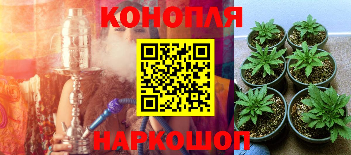 Муравленко  Каннабис гибрид  Шишки марихуана SATIVA & INDICA  Вход с VPN  Конопля индика 